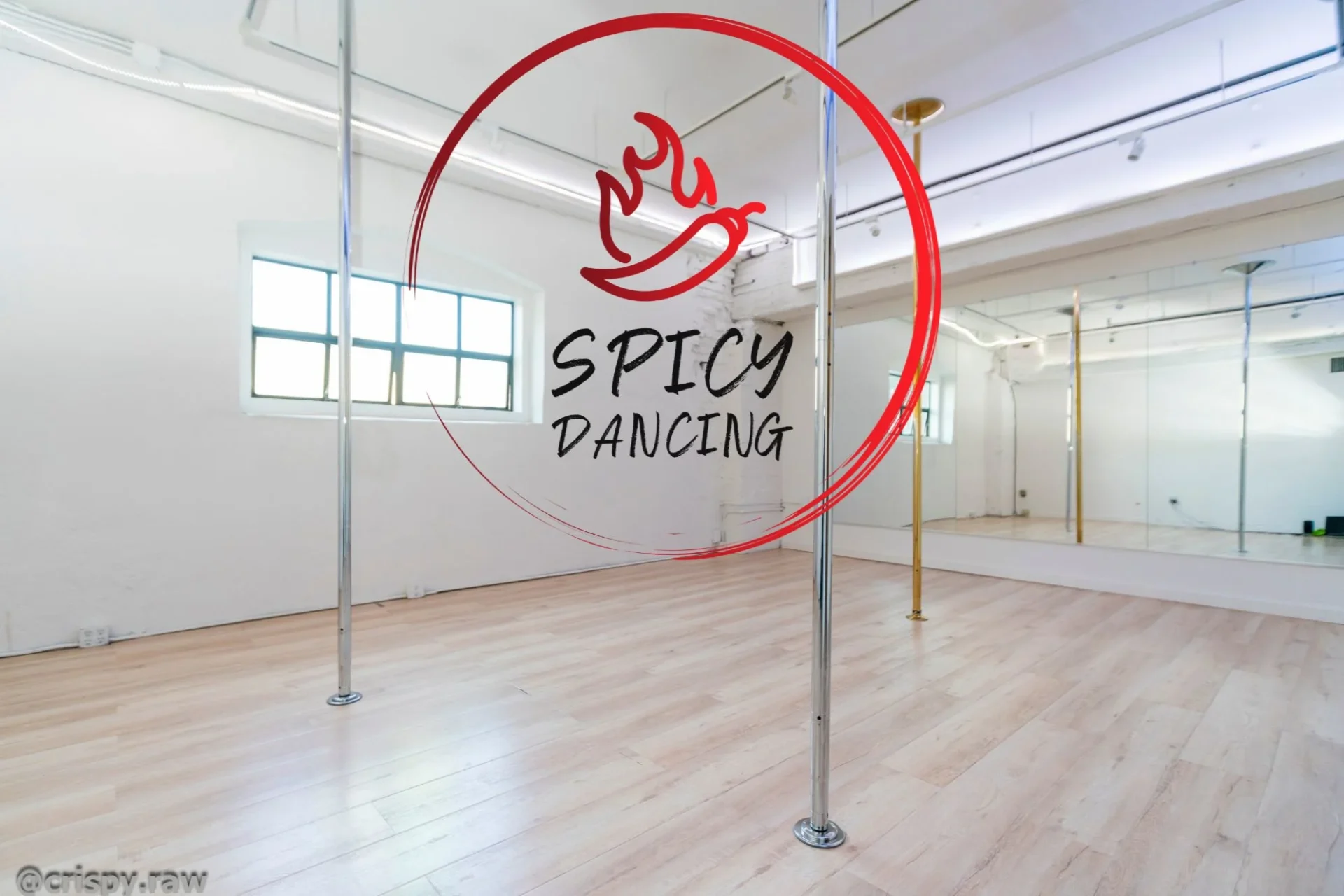 A pole with a red hoop and the words spicy dancing on it.